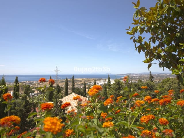 Image No.5-6 Bed Villa for sale