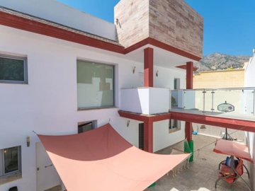 x-254516818