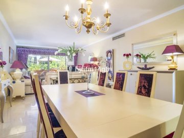 x-256881602