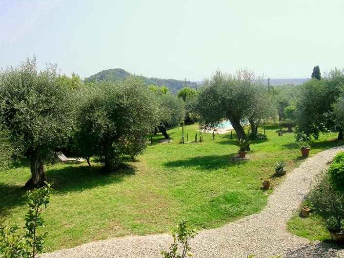 Image No.26-Propriété de pays de 5 chambres à vendre à Massarosa