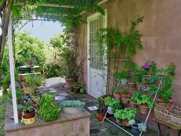 Image No.33-Propriété de pays de 5 chambres à vendre à Massarosa