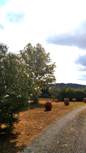 Image No.12-5 Bed Villa for sale