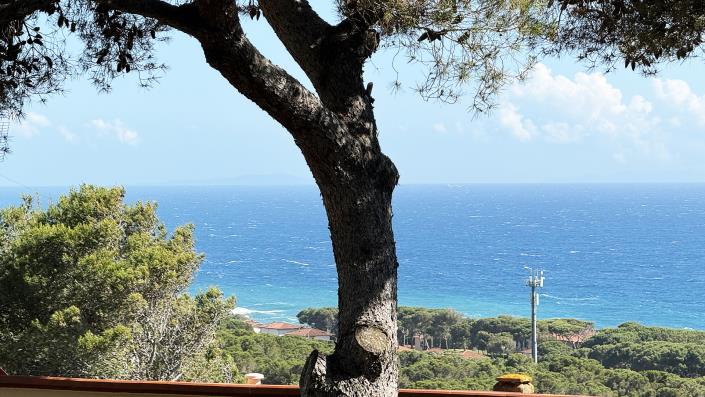 Image No.26-Appartement de 2 chambres à vendre à Quercianella