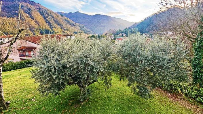 Image No.28-7 Bed Villa for sale