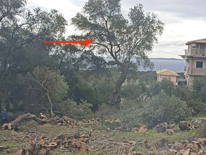 Image No.29-Propriété de 1 chambre à vendre à Loutraki