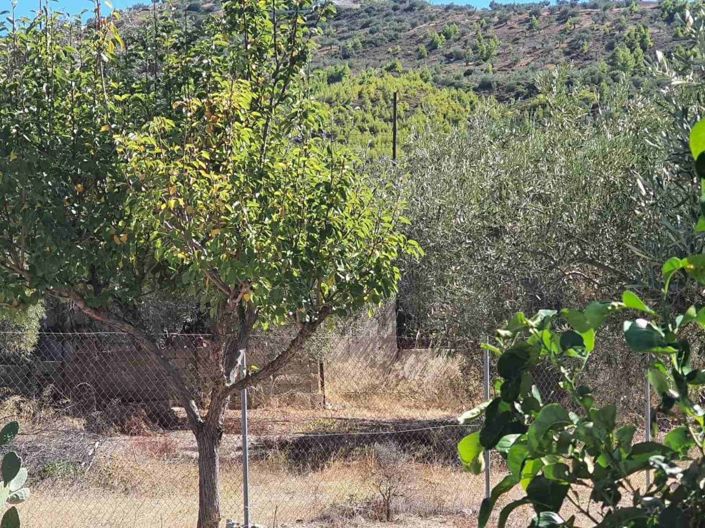 Image No.4-Propriété de 1 chambre à vendre à Loutraki