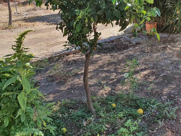 Image No.36-Propriété de 1 chambre à vendre à Loutraki