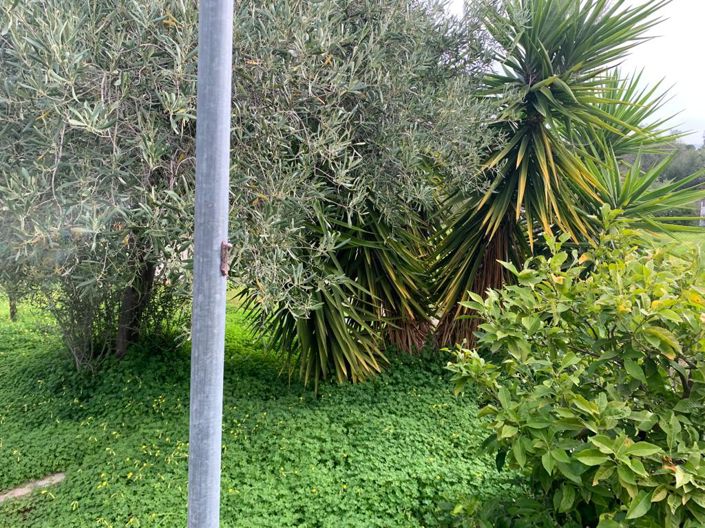 Image No.5-Propriété de 1 chambre à vendre à Loutraki