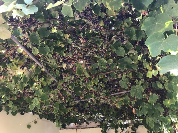 Image No.25-Property for sale