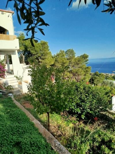 Image No.16-3 Bed House for sale