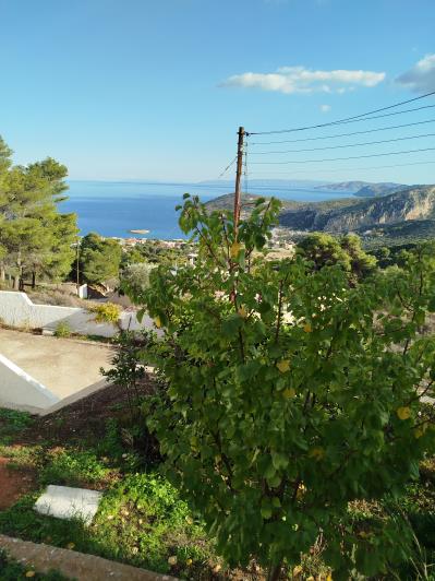 Image No.17-3 Bed House for sale