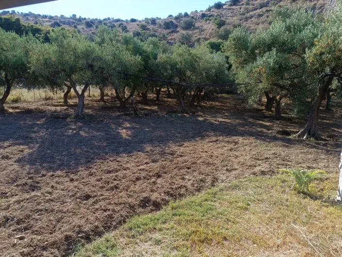 Image No.24-Maison de 2 chambres à vendre à Arcadia