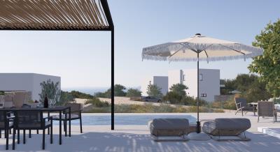 Enscape_2024-12-07-21-03-33