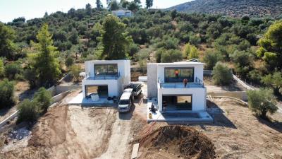 WhatsApp-Image-2026-03-04-at-15-25-57--1-