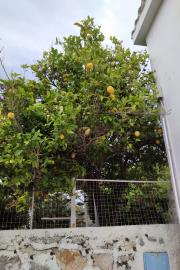 d7bd65f7-1ee1-4bd1-915a-6ce9f534ff60