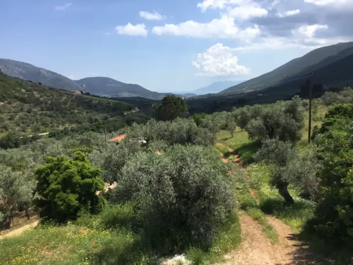 Image No.10-3 Bed House/Villa for sale