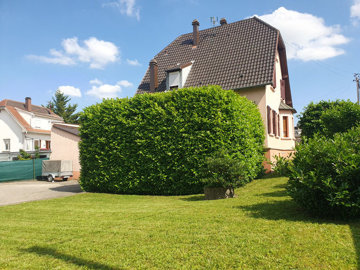 1 - Strasbourg, Property