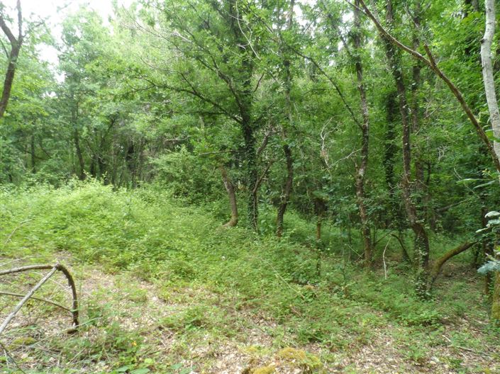Image No.1-Property for sale