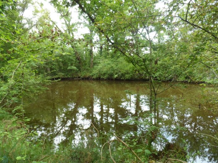 Image No.1-Property for sale