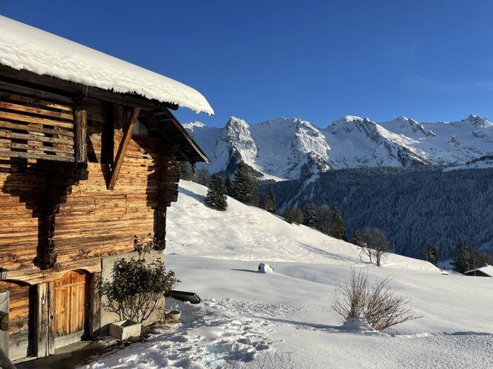 Image No.4-Chalet for sale