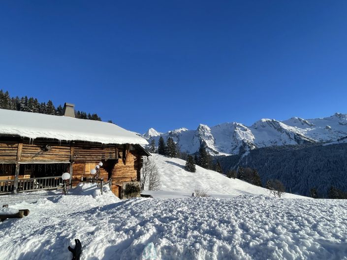 Image No.5-Chalet for sale