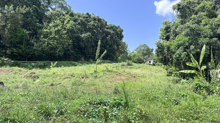 Image No.2-Property for sale