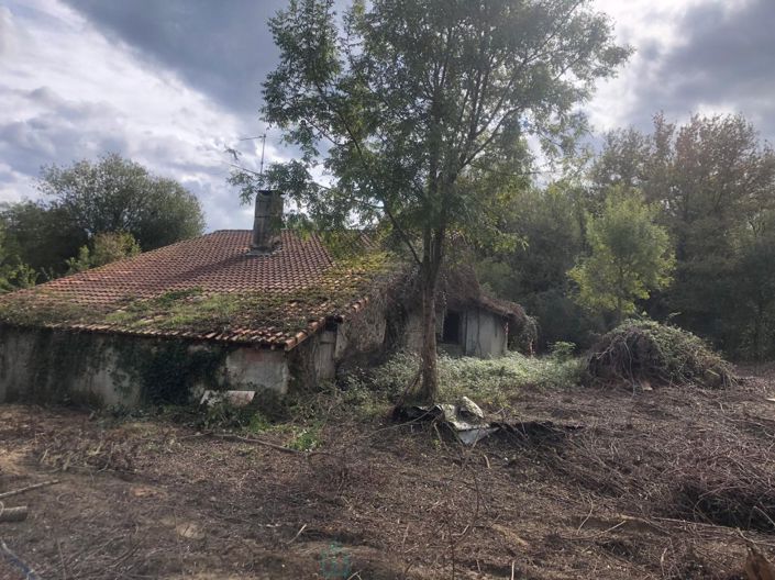 Image No.13-Propriété de 2 chambres à vendre à Pontonx-sur-l'Adour