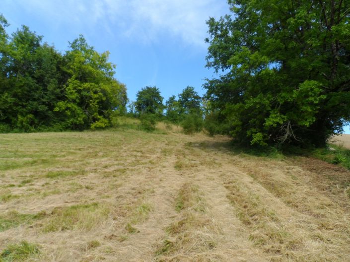 Image No.1-Property for sale