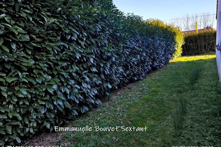 Image No.9-3 Bed House for sale