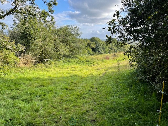 Image No.20-Propriété de 7 chambres à vendre à Brasparts