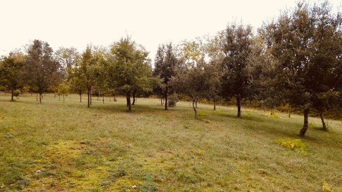 Image No.28-Propriété de 6 chambres à vendre à Cordes-sur-Ciel