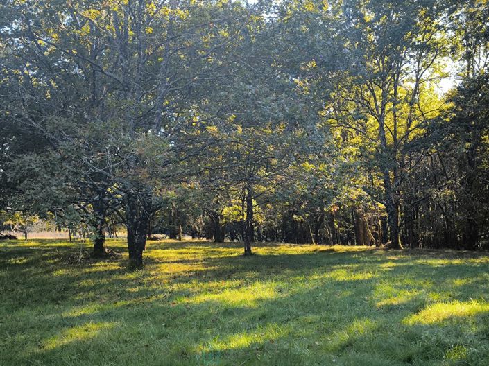 Image No.18-6 Bed House for sale