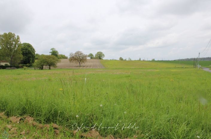 Image No.1-Propriété à vendre à Sousmoulins