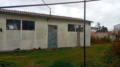 750111634866