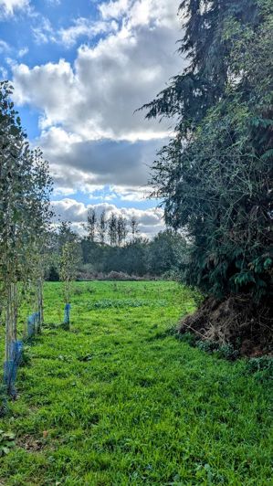 Image No.22-4 Bed Property for sale