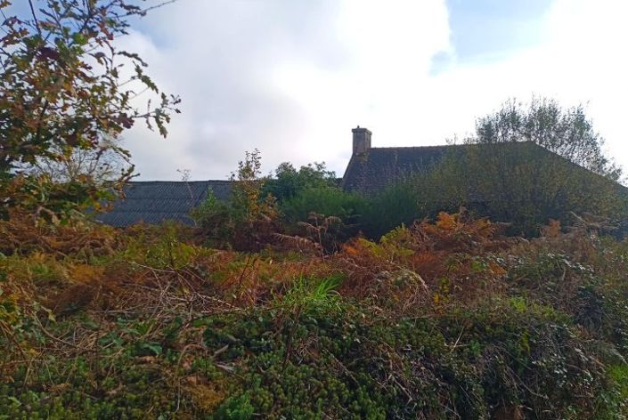 Image No.8-Propriété à vendre à Saint-Barthélemy