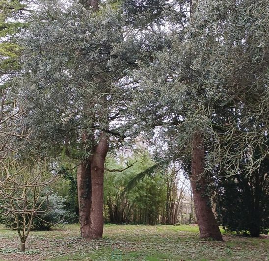 Image No.19-5 Bed Property for sale