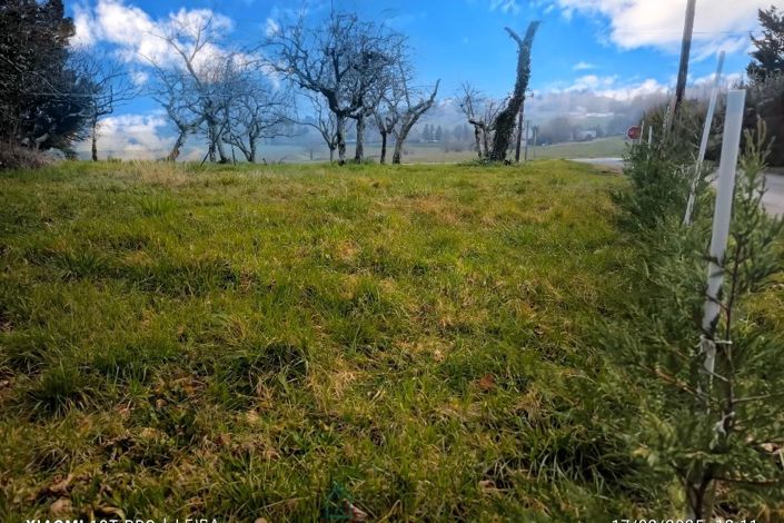 Image No.17-5 Bed Property for sale