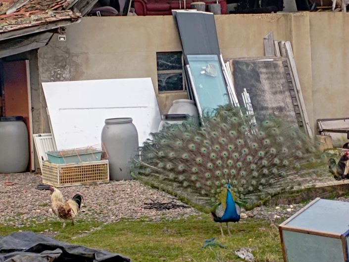 Image No.10-3 Bed House for sale