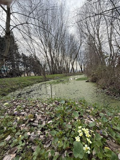 Image No.6-5 Bed Property for sale