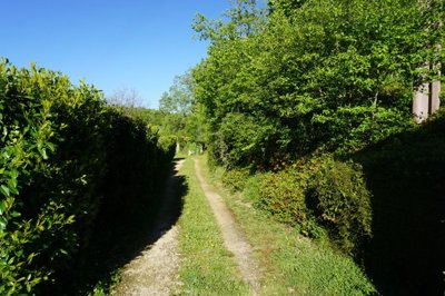 7501116509345