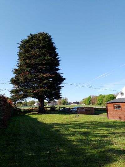 Image No.3-3 Bed House for sale