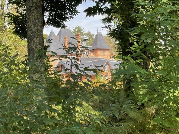 Image No.4-Châteaux à vendre à Salbris