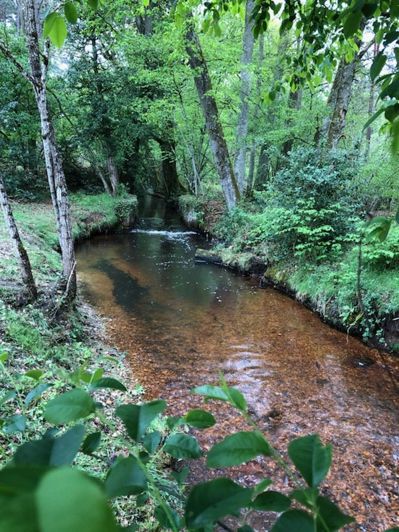 Image No.5-Châteaux à vendre à Salbris