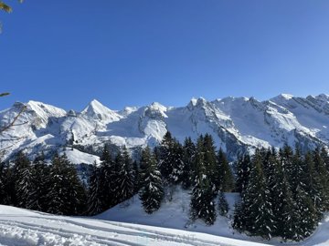 1 - Le Grand-Bornand, Chalet
