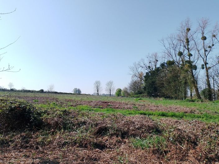 Image No.13-5 Bed House for sale