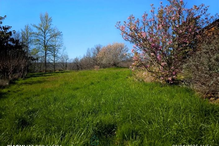 Image No.17-7 Bed Property for sale