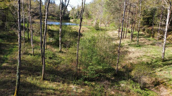 Image No.10-Propriété à vendre à Videix