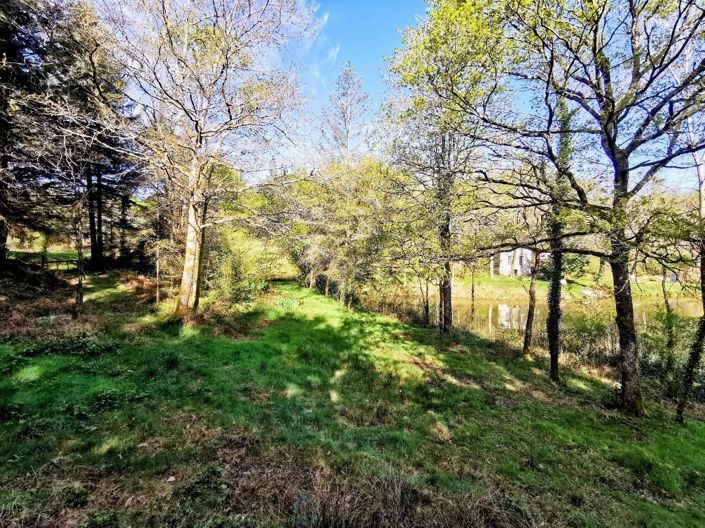 Image No.13-Propriété à vendre à Videix