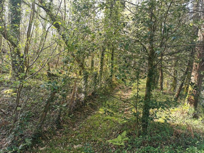 Image No.15-Propriété à vendre à Videix